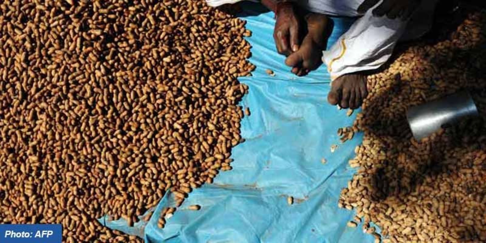 Ministry of Agriculture and Farmers Welfare approved large-scale procurement of pulses and oilseeds at Minimum Support Price under the Price Support Scheme